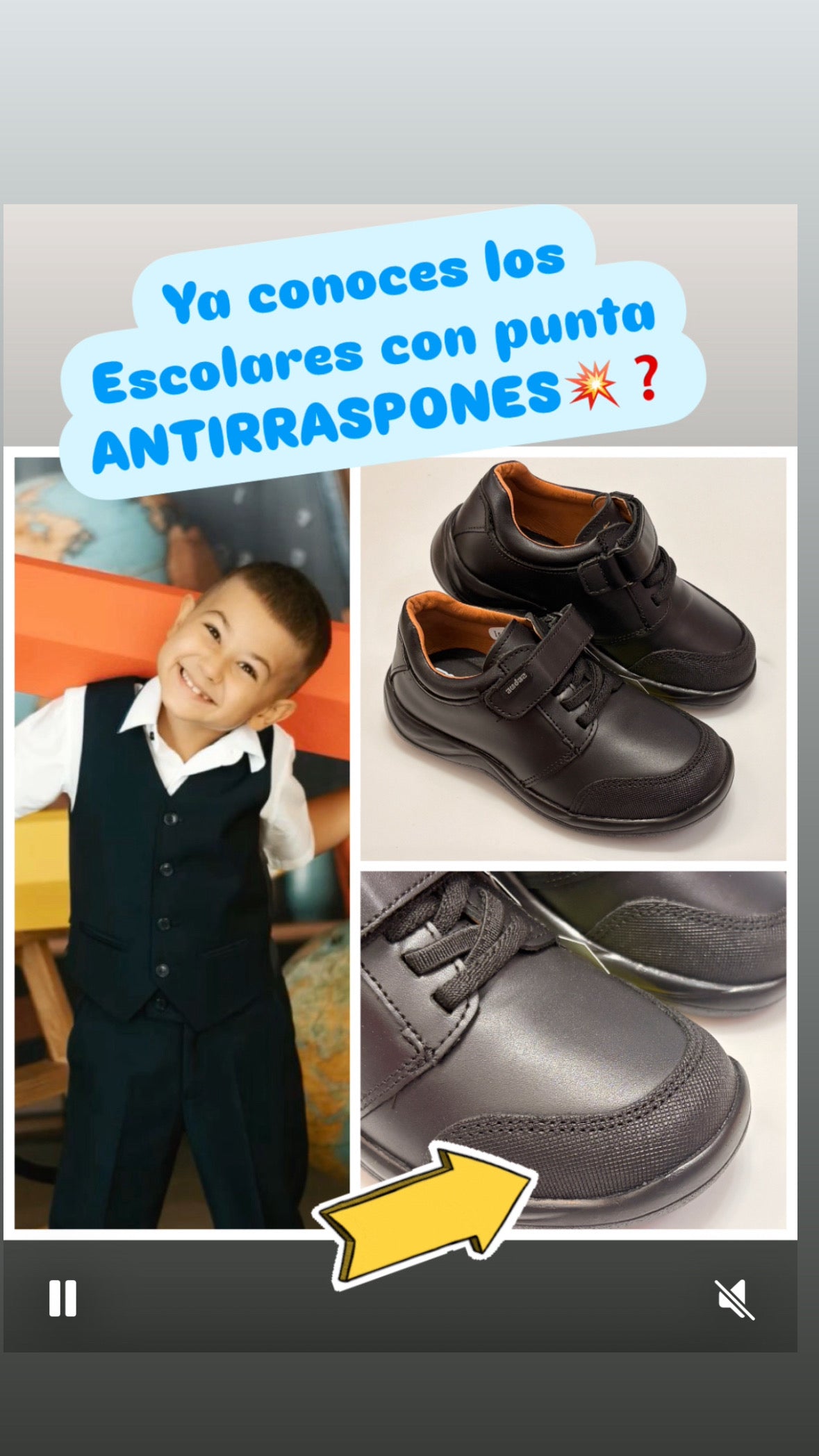 ESCOLAR AUDAZ 163911 TADEO NEGRO