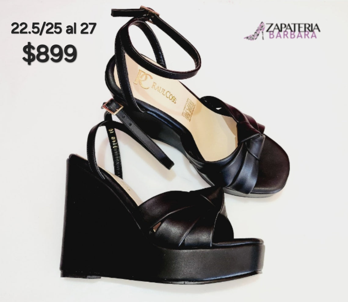 PLATAFORMA 410 RAUL COSS NEGRO